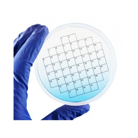 Diversified Biotech Petri Stickers, 50 Sq Grid, 3" Dia, 36/pk, 36PK 247010-50
